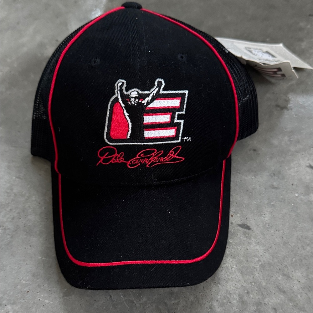 Vintage Nascar Dale Earnhardt Signature Logo hat